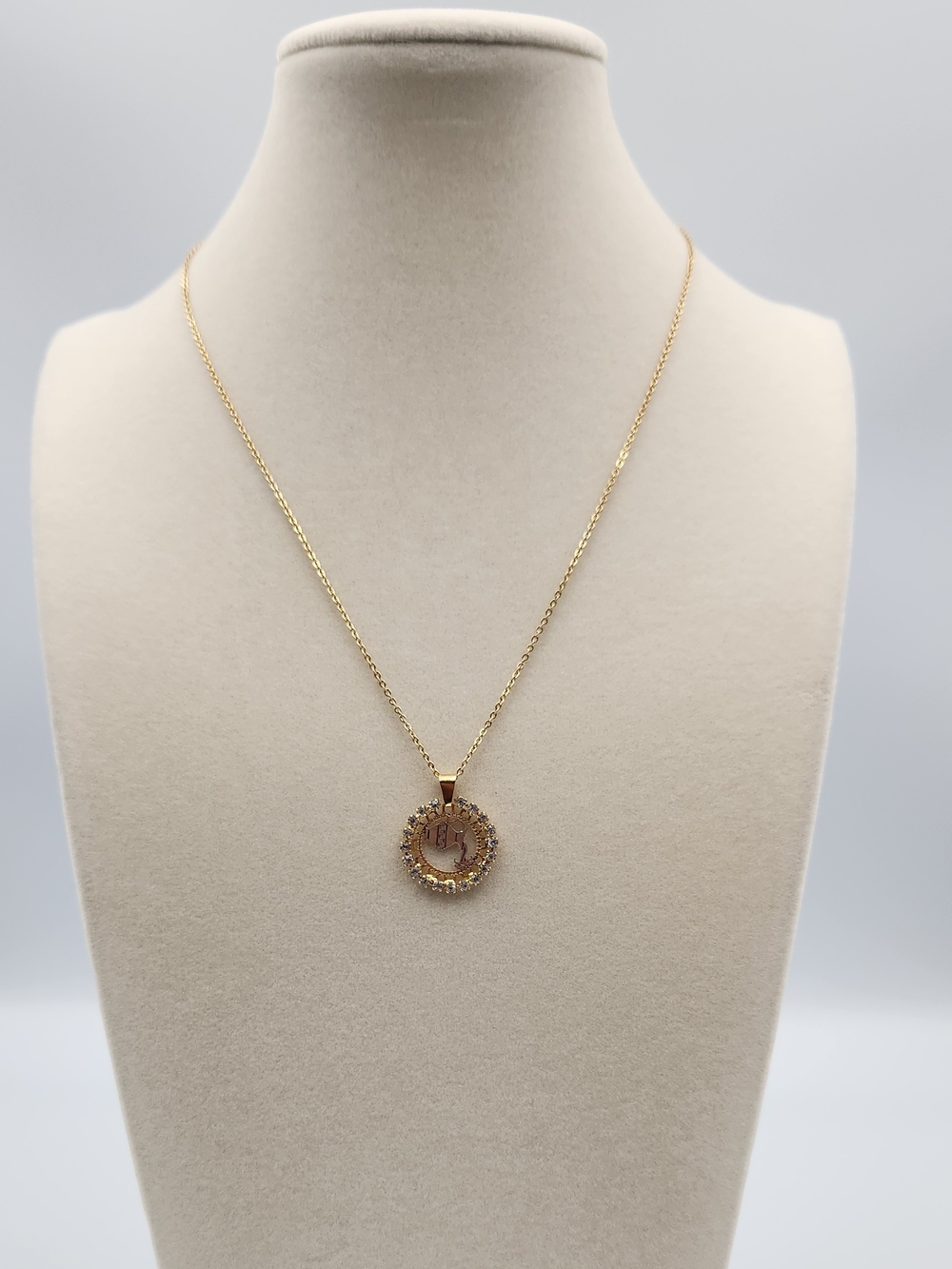 18k Gold Filled Chain with Crystal Halo Circle Aquarium Zodiac Pendant Necklace